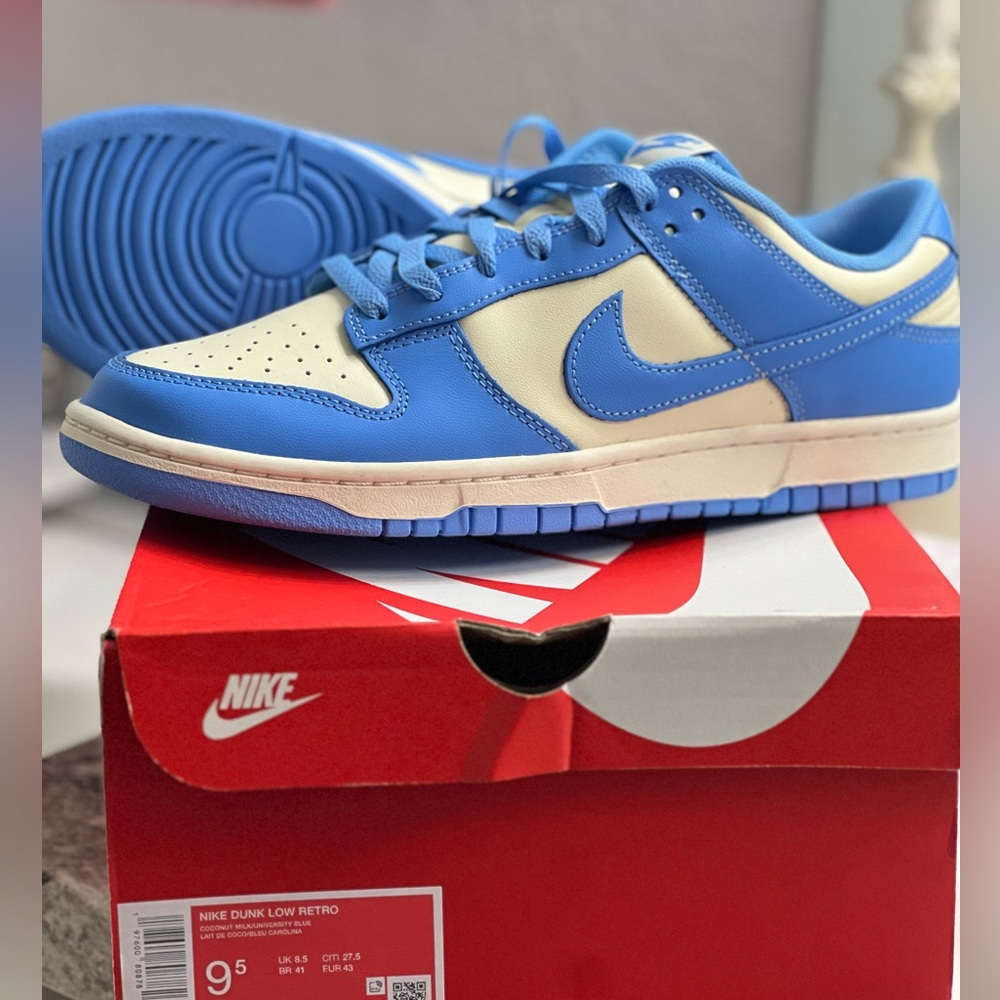 Nike dunk low retro